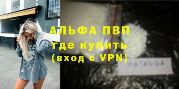 сатива Заводоуковск