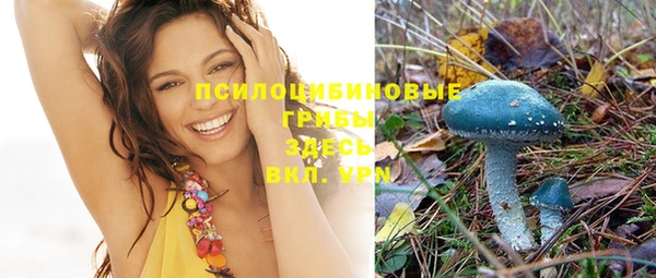 эйфоретик Новодвинск