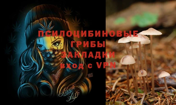 синтетический гашиш Бутурлиновка