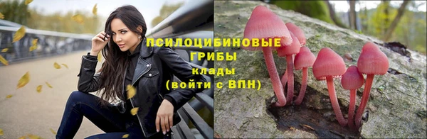 эйфоретик Новодвинск