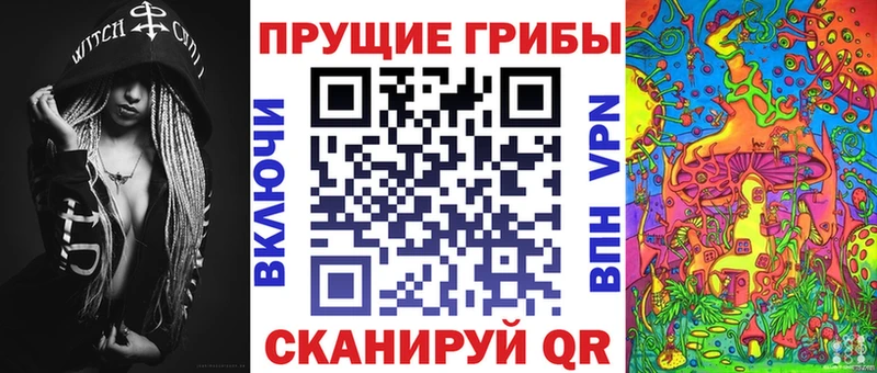 Псилоцибиновые грибы мицелий  Новороссийск 