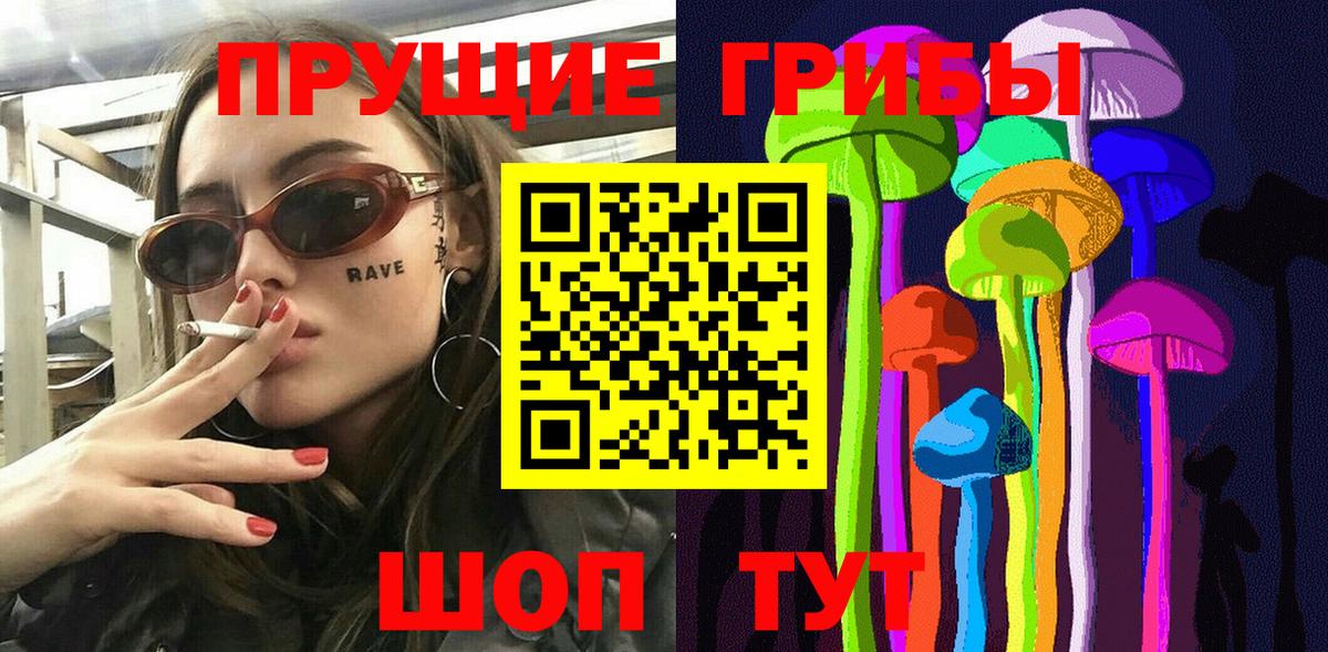 Псилоцибиновые грибы Psilocybe Новороссийск