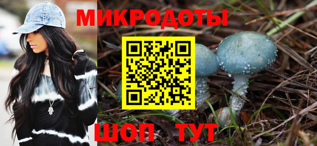 ГАШИШ Новороссийск