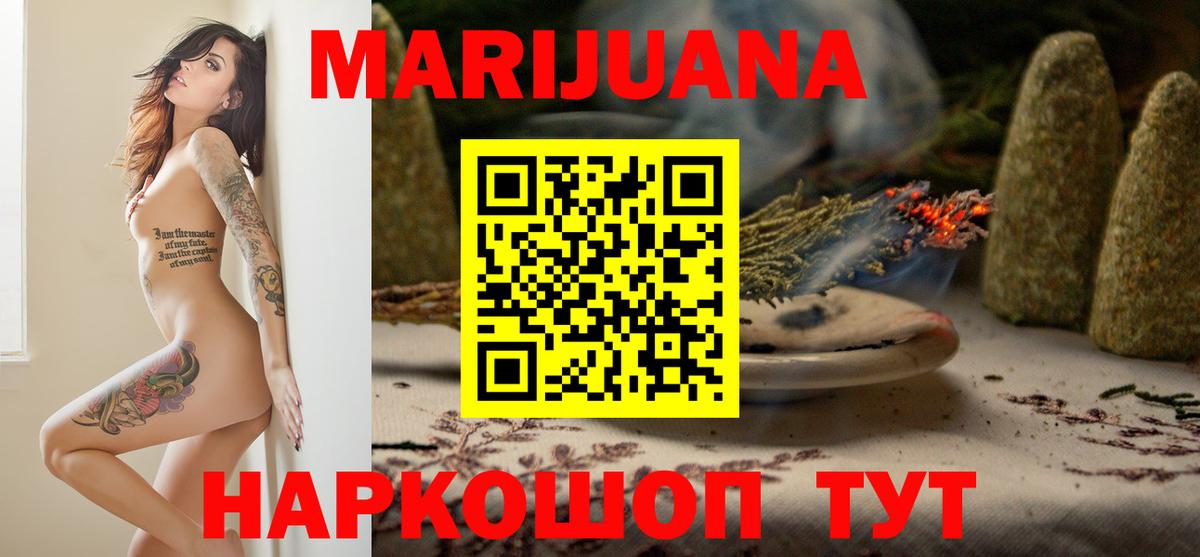 Каннабис сатива Новороссийск